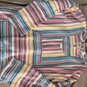 Multicolor Striped Men's Hoodie